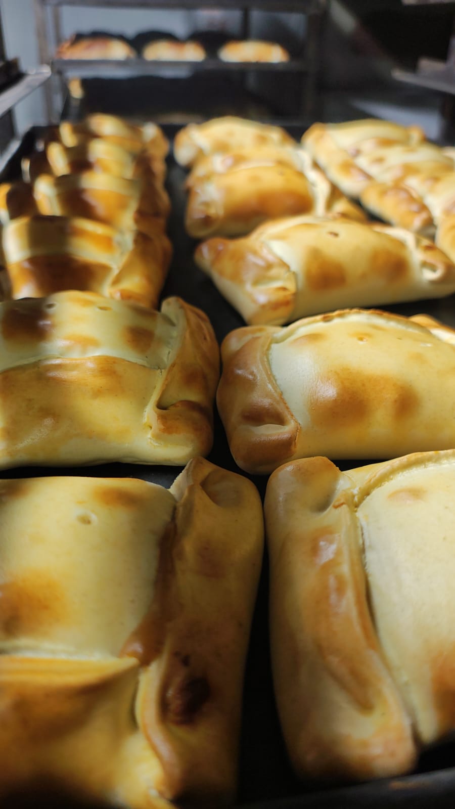 Empanadas de horno recién horneadas